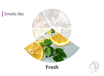 ALZOO Stain & Odor Remover, Quickly Lifts & Dissolves Pet Stains & Helps Eliminate Odors, 100% Plant-Based Active Ingredients, Lavender Vanilla Scent, 32 Fl. Oz Spray Bottle