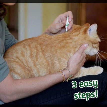 ALZOO Natural Flea & Tick Squeeze-On for Cats, Helps Repel Fleas, Ticks & Mosquitos, Up to 3-Months Protection, Plant-Based Active Ingredients, Water-Resistant, 3 EZ-On Applicators Per Pack