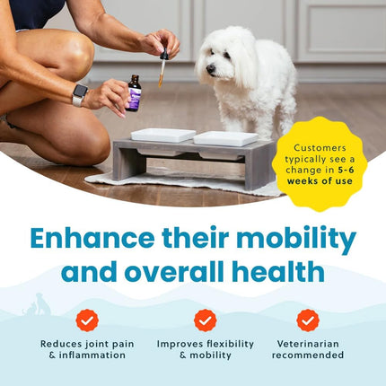 Paramount Pet Health Liquid Glucosamine for Small Dogs, 260mg Glucosamine Liquid for Dogs Joint Supplement for Mobility & Comfort, Easy-to-Use Liquid MSM & Chondroitin, 2 oz
