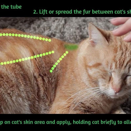 ALZOO Natural Flea & Tick Squeeze-On for Cats, Helps Repel Fleas, Ticks & Mosquitos, Up to 3-Months Protection, Plant-Based Active Ingredients, Water-Resistant, 3 EZ-On Applicators Per Pack