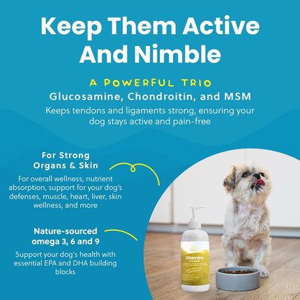 Paramount Pet Health Liquid Multivitamin for Dogs with Probiotics, 8 in 1 Vitamins for Immune Support, Energy & Digestion, High Absorption Liquid Dog Supplement, Made in USA, 32 oz
