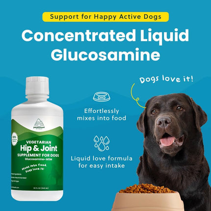 Paramount Pet Health Plant-Based Joint & Coat Bundle for Dogs: Vegetarian Glucosamine + Wild Alaskan Salmon Oil