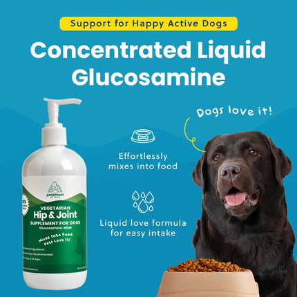 Plant-Based Liquid Glucosamine for Dogs, 1600mg Joint Support with Chondroitin, MSM & Omega 3-6-9, Shellfish-Free Dog Arthritis Supplement for Mobility & Flexibility, Made in USA, 32 oz