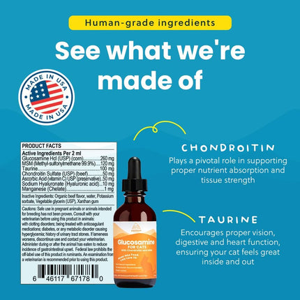 Liquid Glucosamine Chondroitin MSM for Cats, Hip & Joint Support Supplement, Helps Maintain Mobility and Flexibility, Senior Cat Glucosamine Drops for Daily Joint Care, 2oz