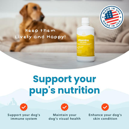 Paramount Pet Health Liquid Multivitamin for Dogs with Probiotics, 8 in 1 Vitamins for Immune Support, Energy & Digestion, High Absorption Liquid Dog Supplement, Made in USA, 32 oz