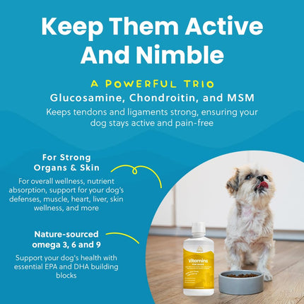 Paramount Pet Health Liquid Multivitamin for Dogs with Probiotics, 8 in 1 Vitamins for Immune Support, Energy & Digestion, High Absorption Liquid Dog Supplement, Made in USA, 32 oz