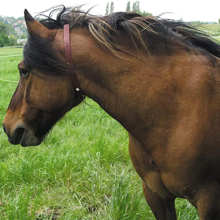 ALZOO Natural Herbal Horse Collar, 100% Plant-Based Active Ingredients, Waterproof, 30-Day Protection, 40.2 Inches