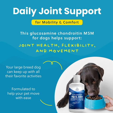 Paramount Pet Health Premium Joint & Coat Care Bundle for Large Dogs: Concentrated Glucosamine + Wild Alaskan Salmon Oil