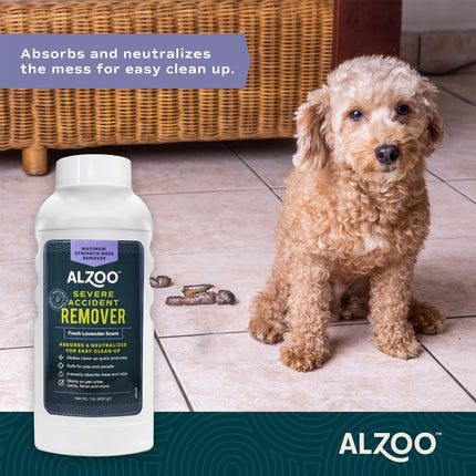 ALZOO Severe Accident Remover, Maximum Strength Mess Remover, Mineral-Based Active Ingredients