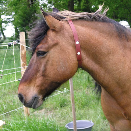 ALZOO Natural Herbal Horse Collar, 100% Plant-Based Active Ingredients, Waterproof, 30-Day Protection, 40.2 Inches