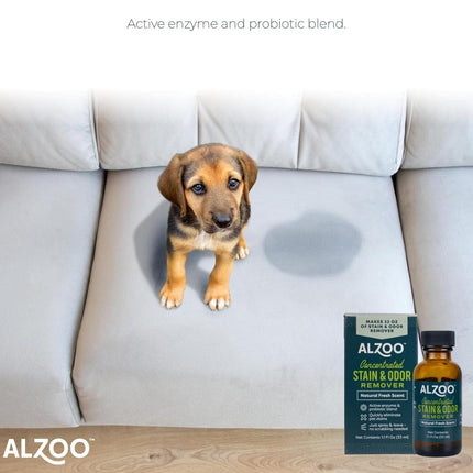 ALZOO Stain & Odor Remover, Quickly Lifts & Dissolves Pet Stains & Helps Eliminate Odors, 100% Plant-Based Active Ingredients, Lavender Vanilla Scent, 32 Fl. Oz Spray Bottle