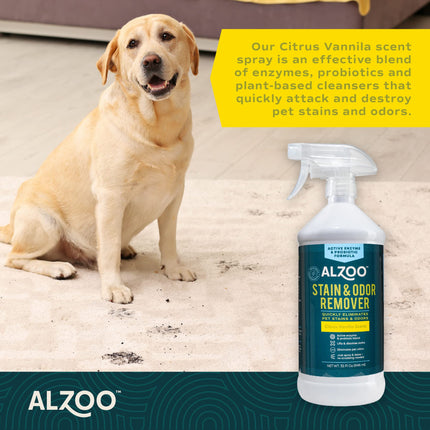 ALZOO Stain & Odor Remover, Quickly Lifts & Dissolves Pet Stains & Helps Eliminate Odors, 100% Plant-Based Active Ingredients, Lavender Vanilla Scent, 32 Fl. Oz Spray Bottle