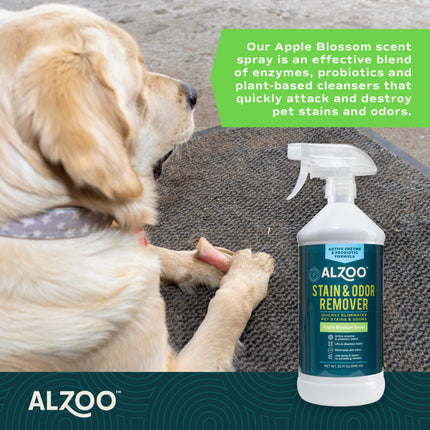 ALZOO Stain & Odor Remover, Quickly Lifts & Dissolves Pet Stains & Helps Eliminate Odors, 100% Plant-Based Active Ingredients, Lavender Vanilla Scent, 32 Fl. Oz Spray Bottle