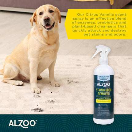 ALZOO Stain & Odor Remover, Quickly Lifts & Dissolves Pet Stains & Helps Eliminate Odors, 100% Plant-Based Active Ingredients, Lavender Vanilla Scent, 32 Fl. Oz Spray Bottle