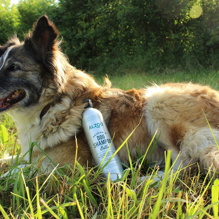 ALZOO Concentrated Shampoo Powder for Dogs, Specially Formulated for Dogs with Sensitive Skin, 100% Plant-Based Active Ingredients, Vanilla Fragrance, Pack of 2