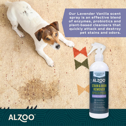 ALZOO Stain & Odor Remover, Quickly Lifts & Dissolves Pet Stains & Helps Eliminate Odors, 100% Plant-Based Active Ingredients, Lavender Vanilla Scent, 32 Fl. Oz Spray Bottle